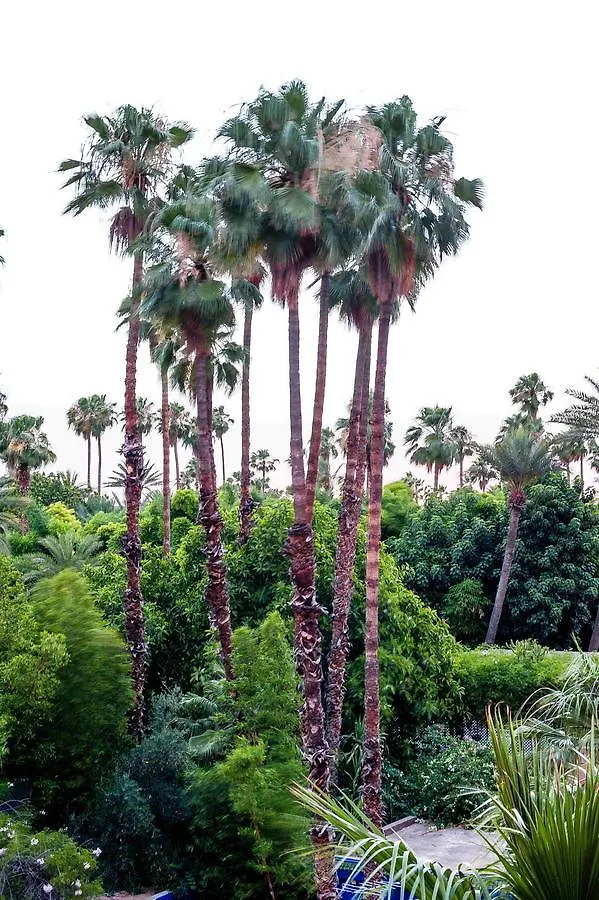 Apartment Residence Mirador Majorelle Marrakesh Morocco